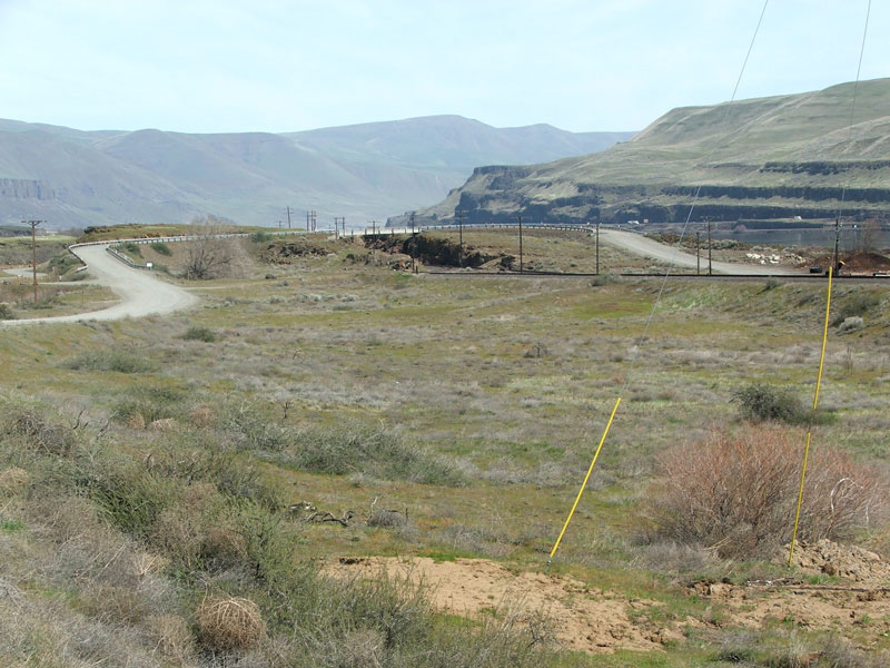 A winding road through a dry, grassy landscape with hills in the background under a clear sky.