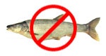 A fish with a red prohibition symbol over it, indicating "no fish" or "no fishing."