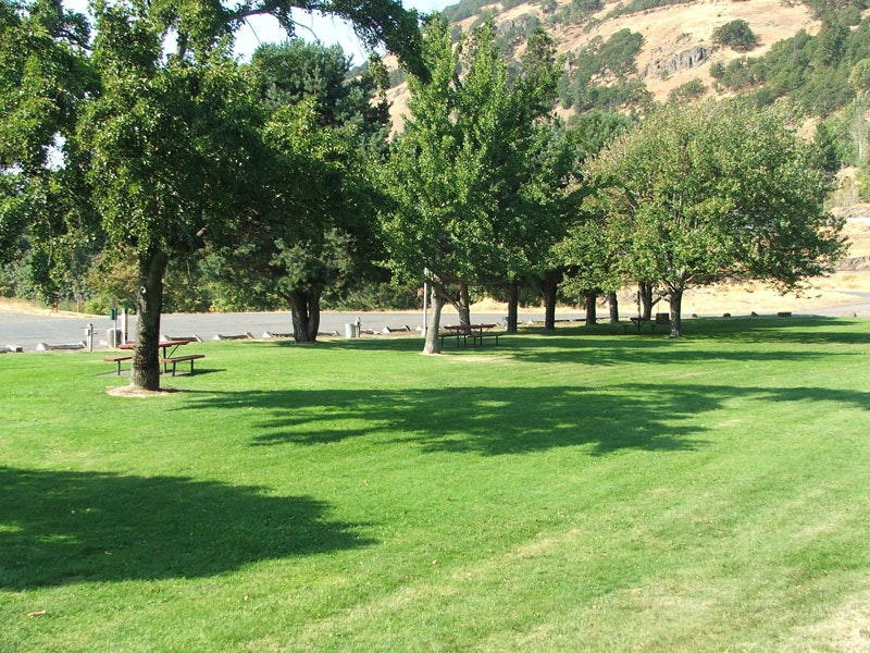 A grassy park with trees, picnic tables, and a road in the background beneath a hilly landscape.