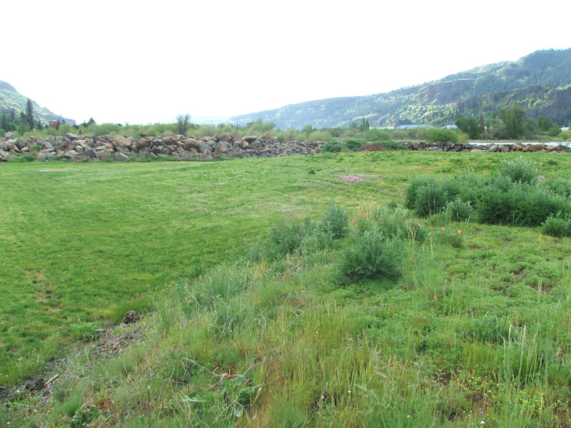 A grassy field with rocks, surrounded by hills and trees under a cloudy sky.