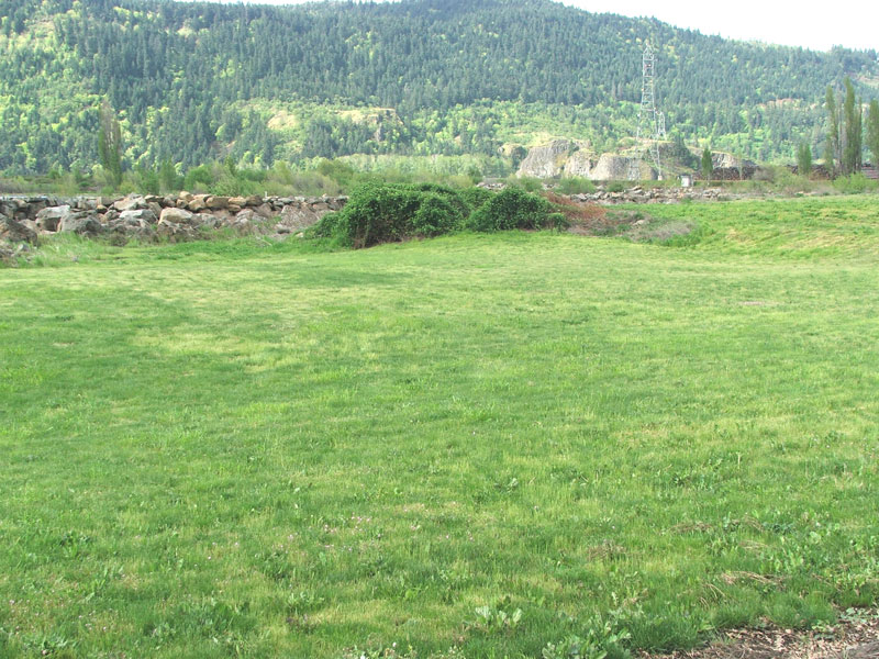 A grassy field with a backdrop of rocky terrain and a forested hillside.