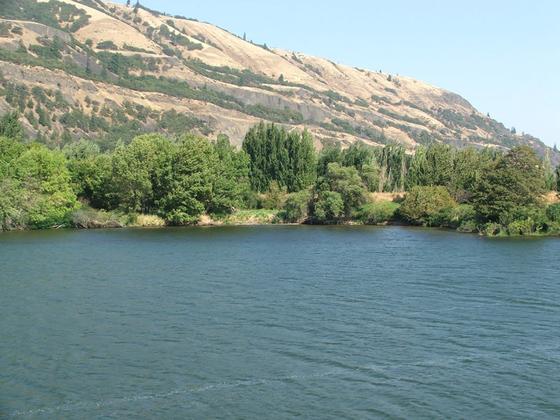 A calm river with lush green trees and a hilly landscape in the background.