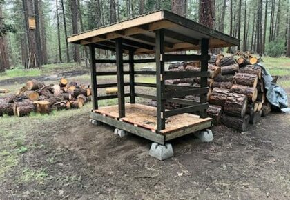 A woodpile under a shelter in a forested area.