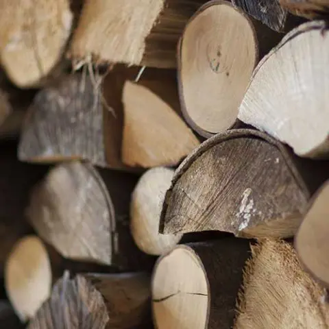A pile of cut firewood logs.
