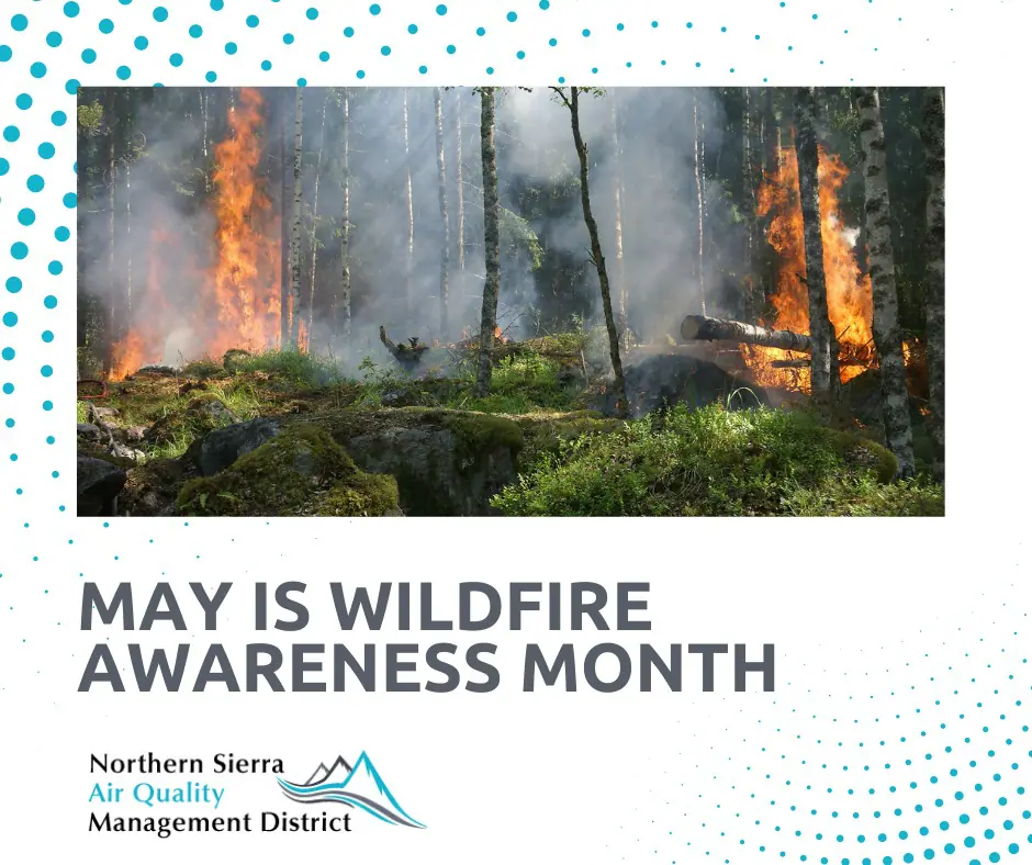 A poster declaring May as Wildfire Awareness Month with an image of a forest fire.
