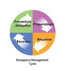 Emergency Management Cycle