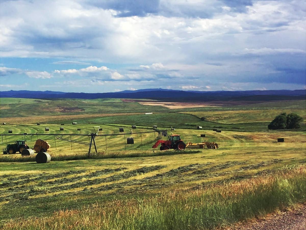 A scenic rural landscape with tractors and hay bales in a vast green field under a partly cloudy sky.