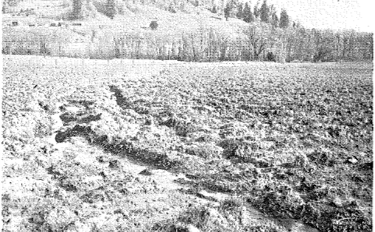 May contain: soil, nature, outdoors, wilderness, field, ground, and land