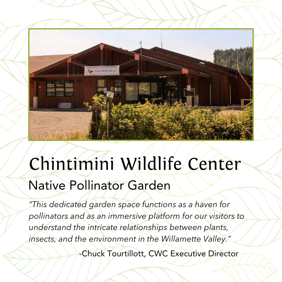 Chintimini Wildlife Center's Native Pollinator Garden promotes understanding of plant and insect relationships in Willamette Valley.