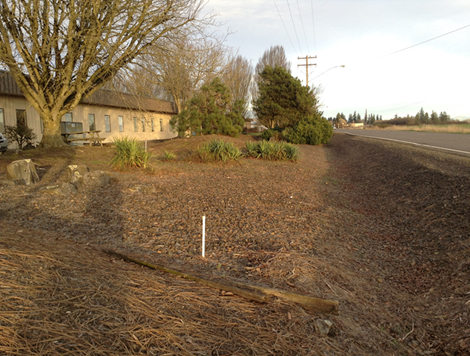 May contain: road, plant, tree, gravel, soil, grass, ground, outdoors, fir, nature, architecture, building, and shelter