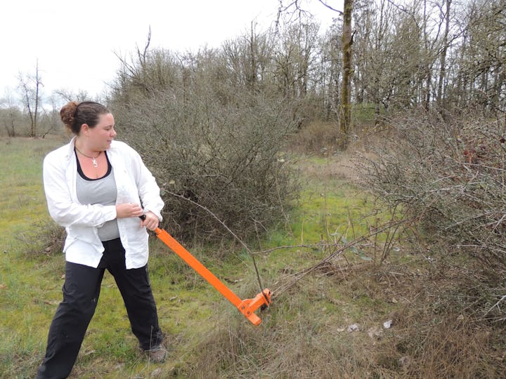 May contain: grass, plant, lawn, accessories, jewelry, necklace, and person