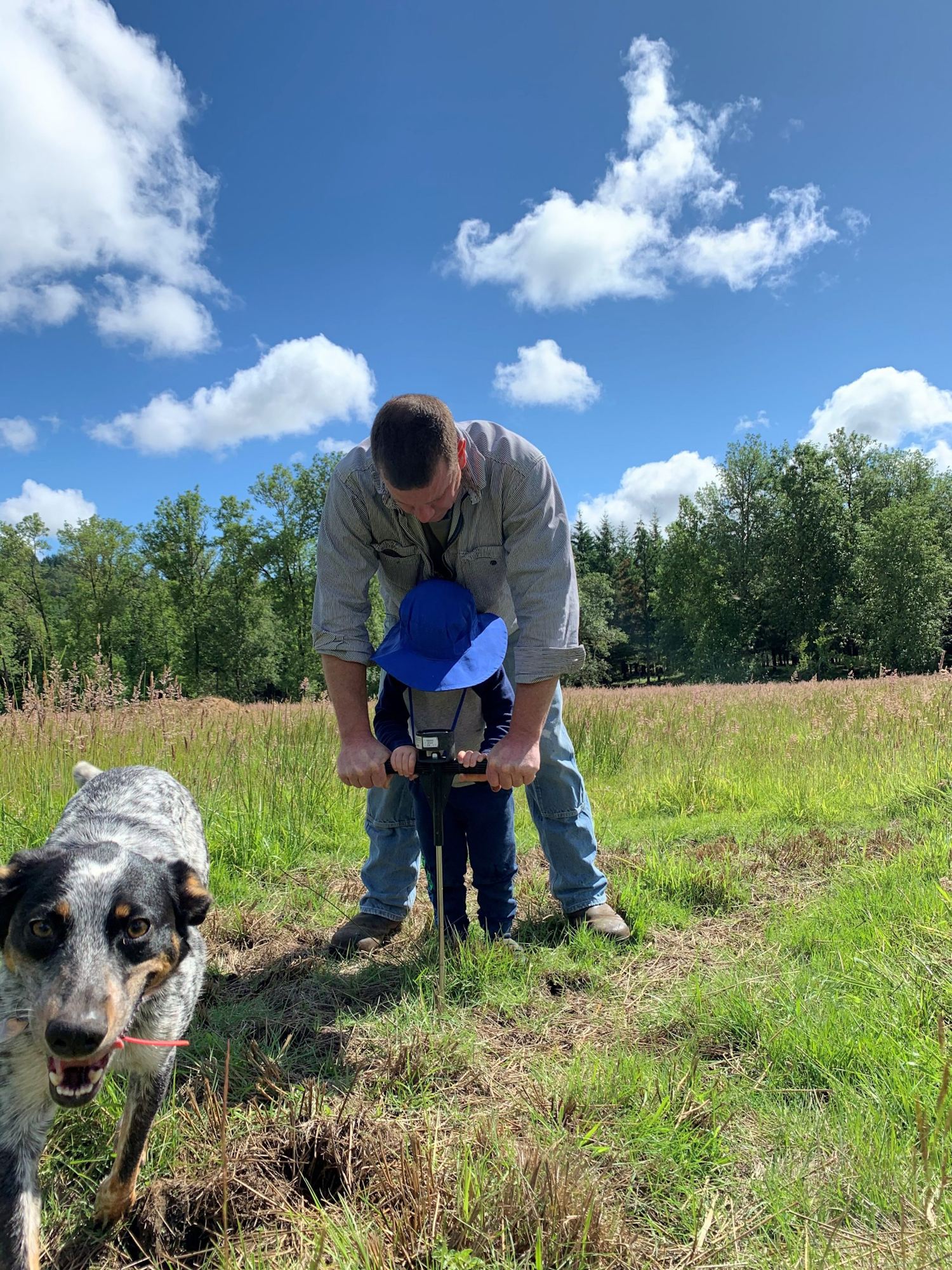 May contain: grass, plant, clothing, pants, photography, face, head, person, portrait, vegetation, field, grassland, nature, outdoors, park, sky, tree, soil, jeans, cloud, wilderness, animal, canine, dog, mammal, pet, adult, male, man, puppy, architecture, building, and shelter