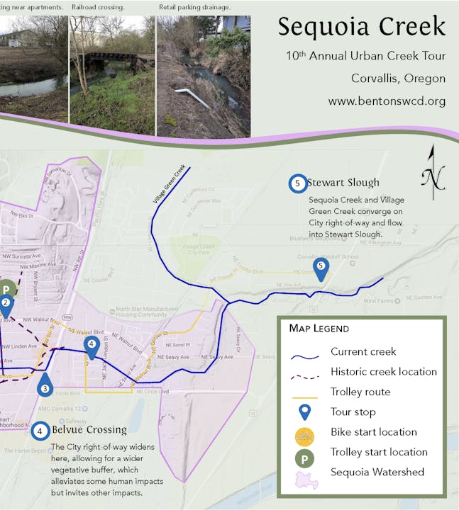 May contain: chart, plot, plant, vegetation, diagram, and plan