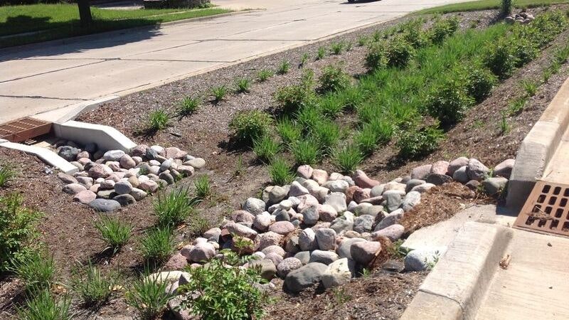 A bioswale beside a road with rocks, plants, and drainage grates.