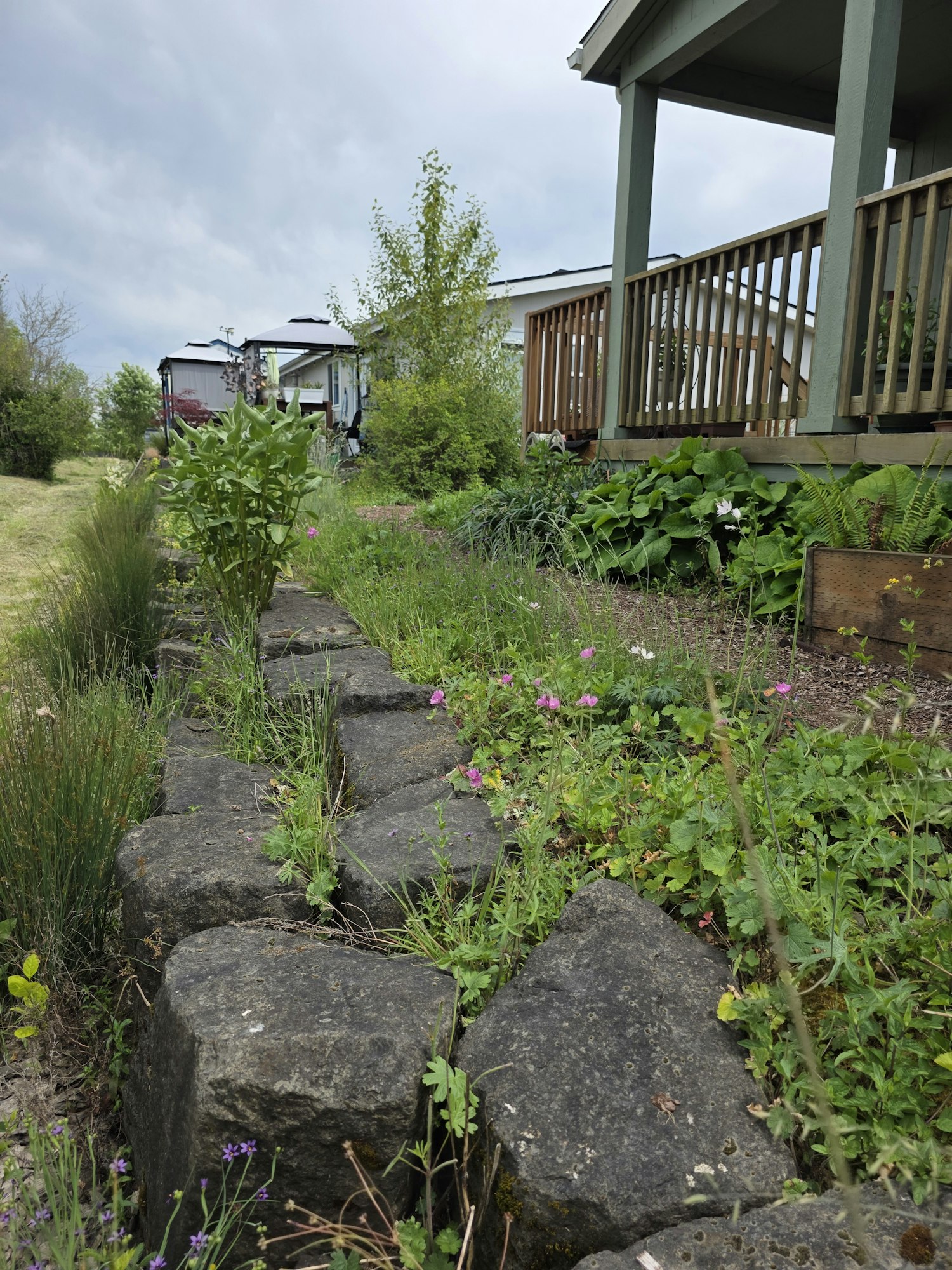 A garden area with stones, greenery, and pink flowers near a building and a cloudy sky above.