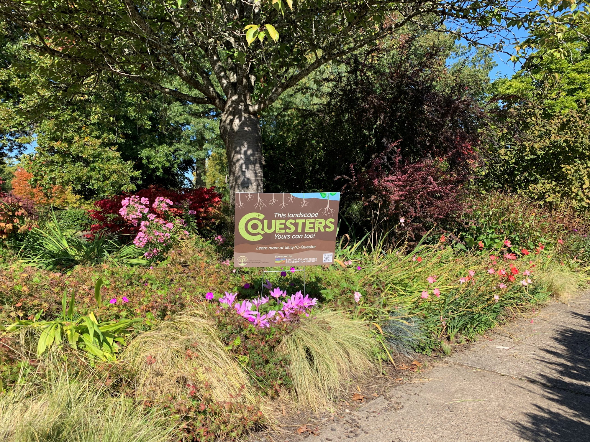 May contain: plant, vegetation, garden, nature, outdoors, grass, park, herbal, herbs, land, tree, woodland, path, grove, arbour, trail, and flower