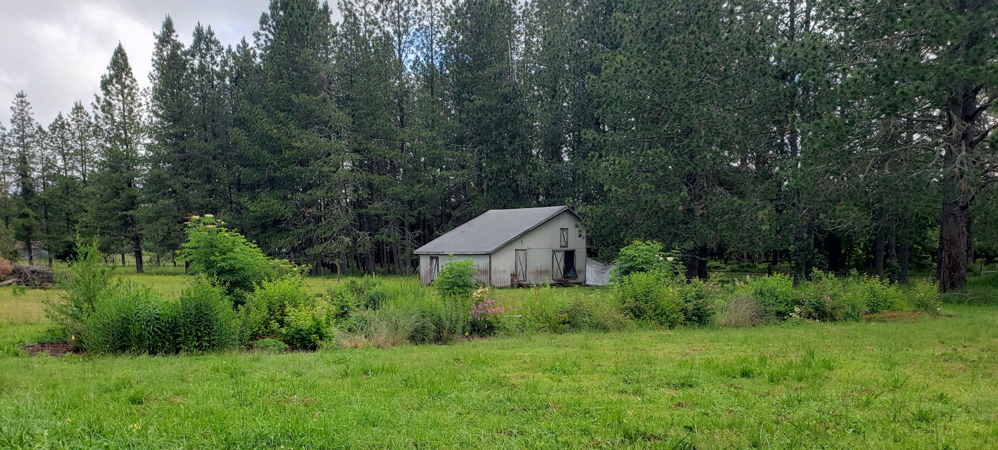 May contain: architecture, building, outdoors, shelter, countryside, hut, nature, rural, fir, plant, tree, cottage, house, housing, and grass