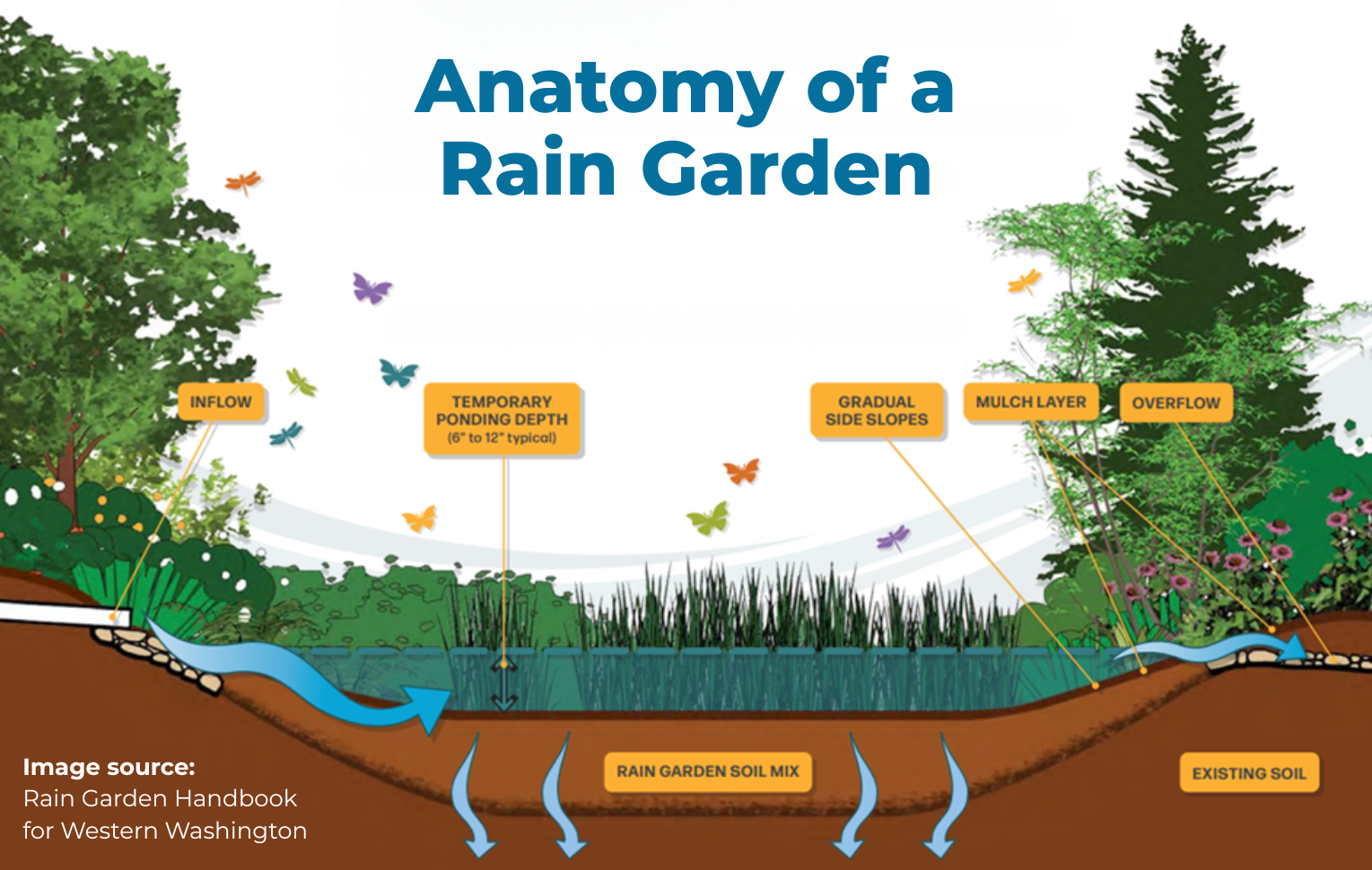 Diagram showing a rain garden's components: inflow, ponding depth, side slopes, mulch, overflow, soil mix, and existing soil.
