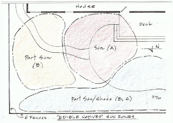 May contain: chart, diagram, plan, and plot