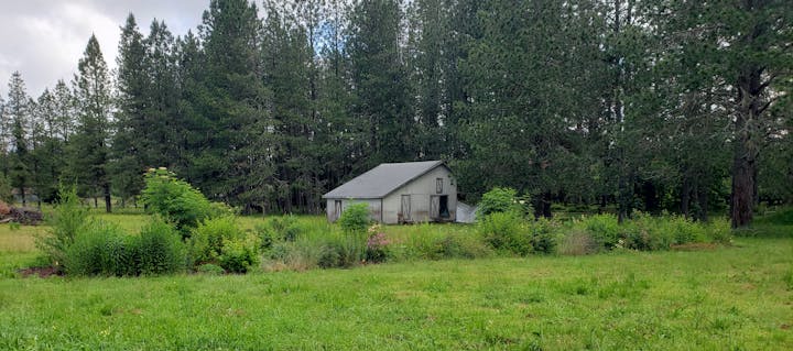 May contain: architecture, building, outdoors, shelter, countryside, hut, nature, rural, fir, plant, tree, cottage, house, housing, grass, field, and grassland
