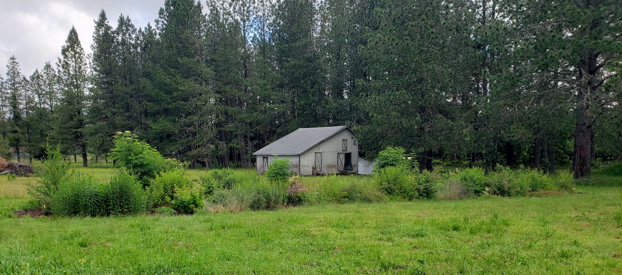 May contain: architecture, building, outdoors, shelter, countryside, hut, nature, rural, fir, plant, tree, cottage, house, housing, grass, field, and grassland