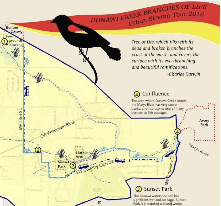 May contain: animal, bird, blackbird, chart, and plot