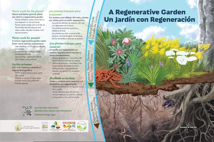May contain: advertisement, poster, plant, vegetation, herbal, and herbs