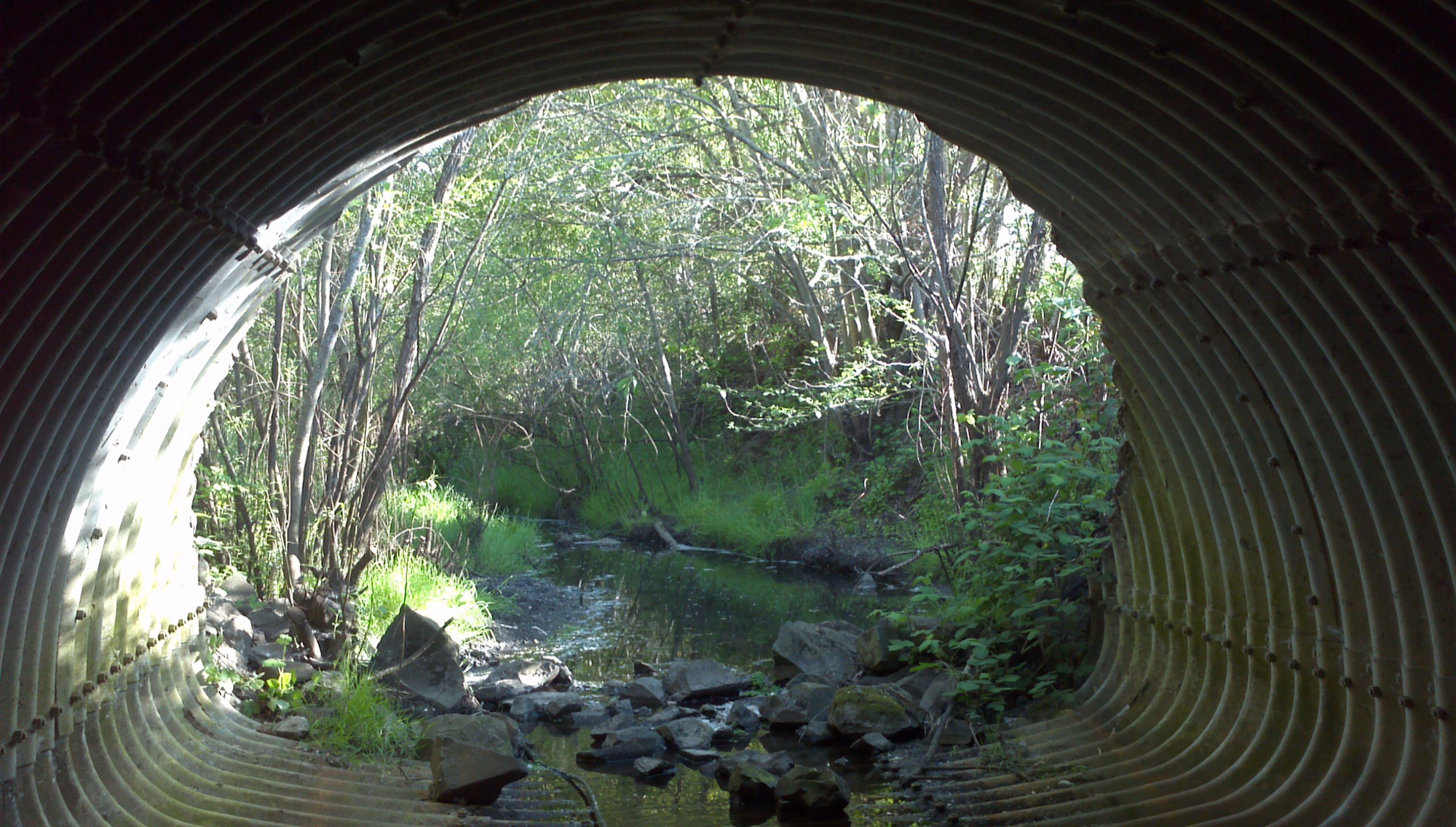 May contain: outdoors, water, nature, creek, and stream