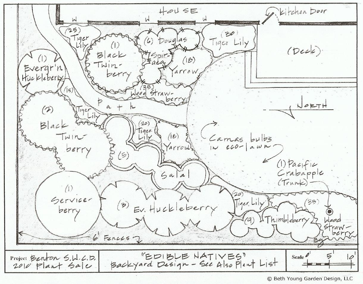 May contain: chart, plot, diagram, and plan