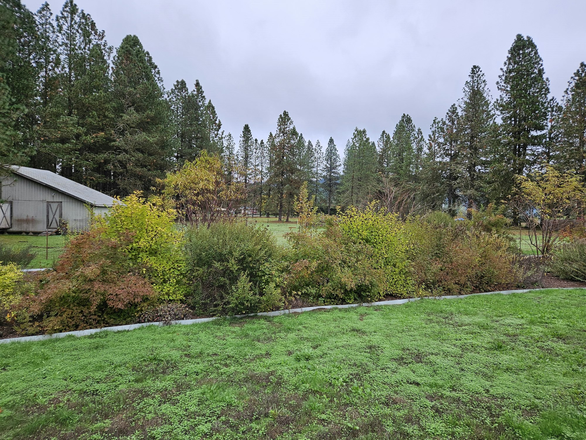 May contain: plant, tree, fir, architecture, building, outdoors, shelter, grass, conifer, nature, countryside, hut, and rural