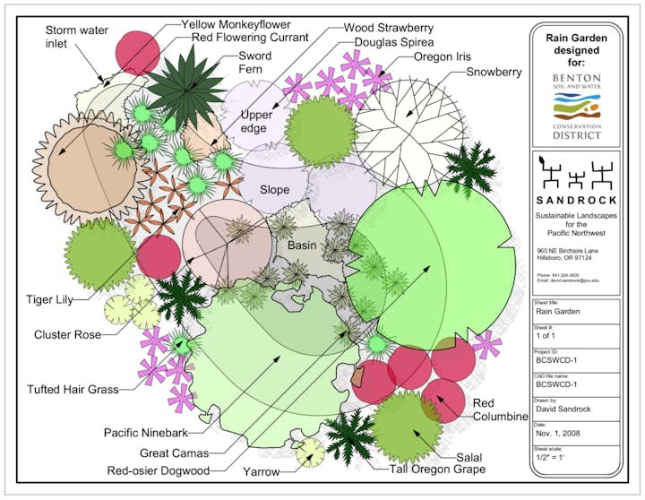 May contain: plant, vegetation, chart, and plot