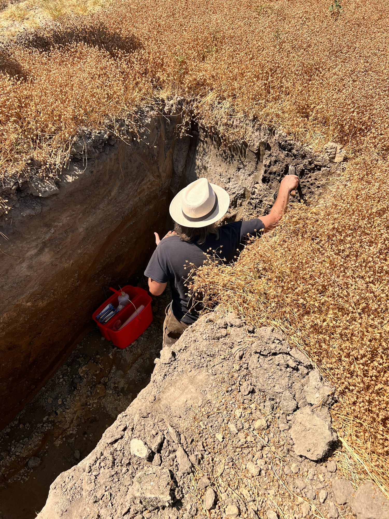 Person in a trench or ditch, wearing a hat, next to a red container, surrounded by dry grass and dirt.
