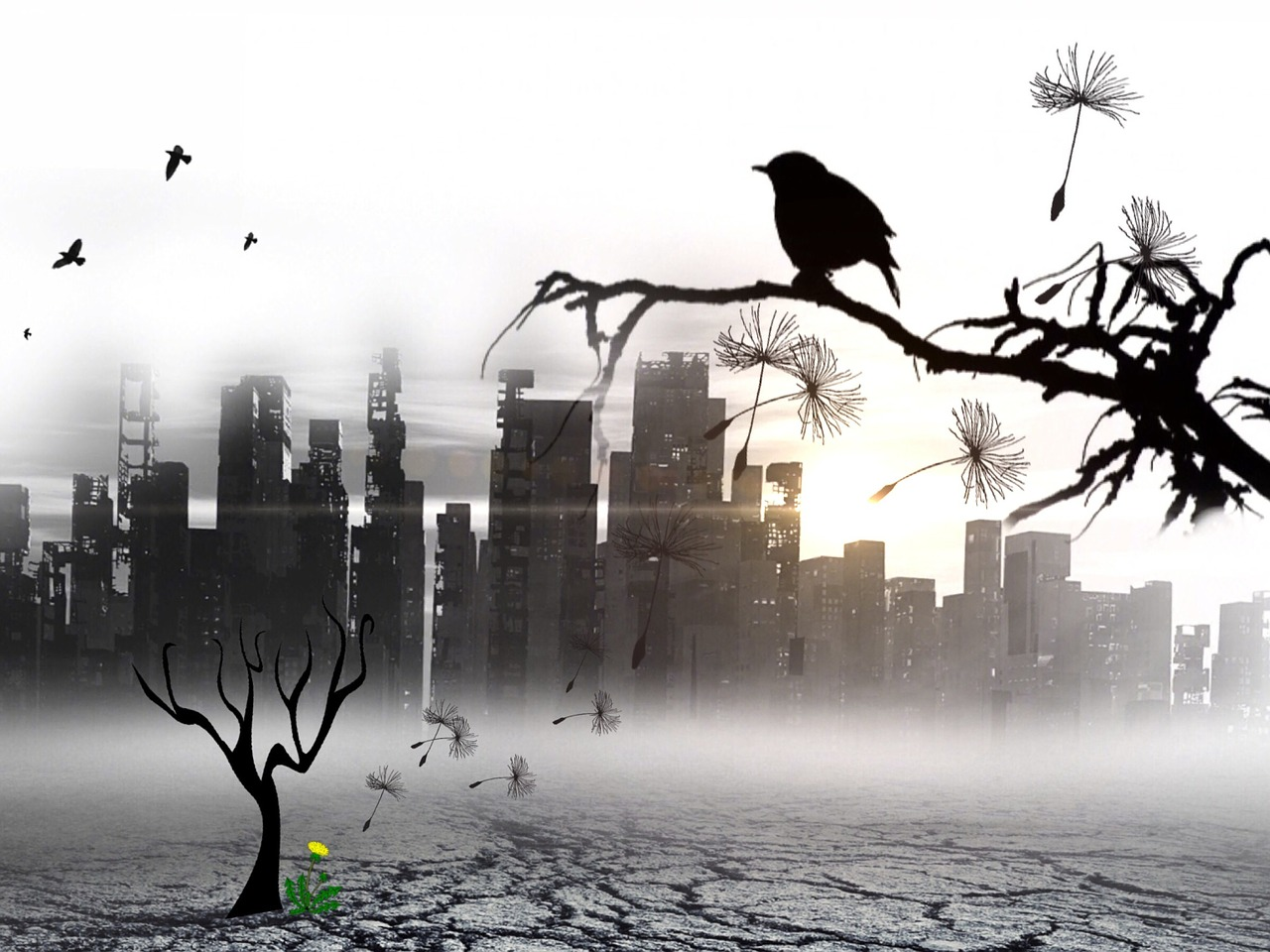 May contain: city, nature, outdoors, weather, animal, and bird