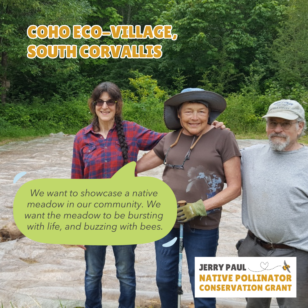 Three people in a natural setting promoting a native meadow project for bees, supported by the Jerry Paul Native Pollinator Conservation Grant.