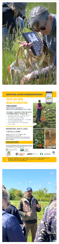A collage of outdoor educational activities focused on ecology and soil health, including a gathering and individual exploration of plants.