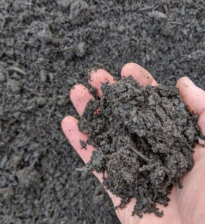 A hand holding a pile of dark soil or compost with more soil in the background.