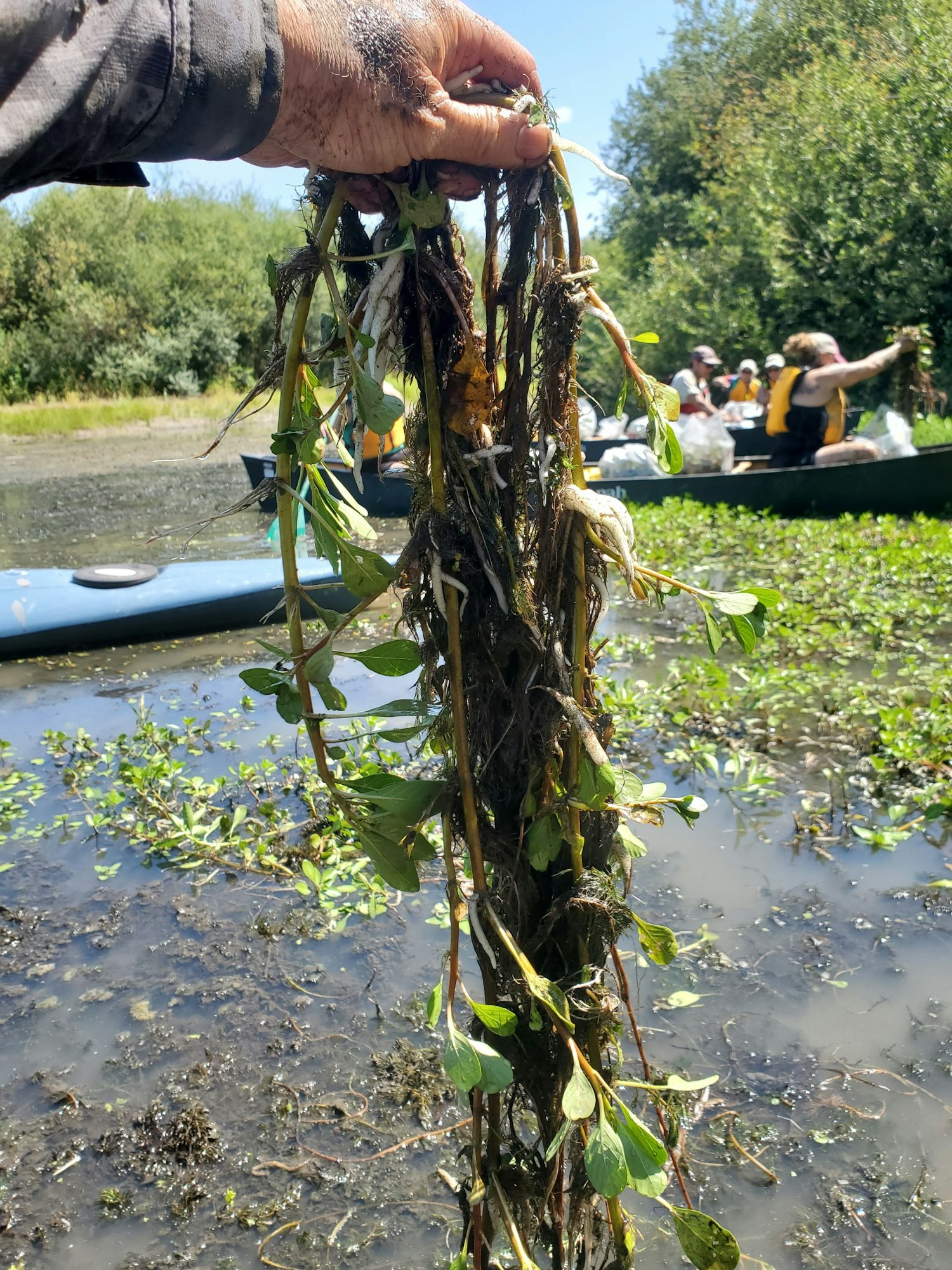 May contain: plant, vegetation, clothing, hat, person, herbal, herbs, accessories, bag, handbag, boat, canoe, canoeing, leisure activities, rowboat, sport, transportation, vehicle, water, water sports, jungle, nature, and outdoors