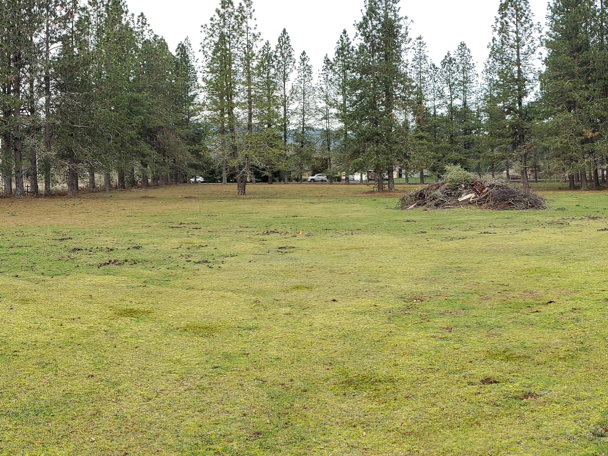May contain: countryside, farm, field, nature, outdoors, pasture, rural, grassland, ground, plant, tree, land, fir, car, transportation, vehicle, and grass
