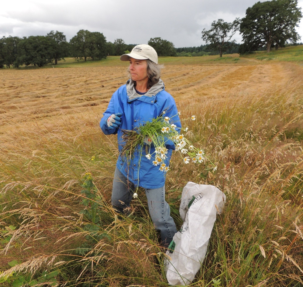 May contain: flower, flower arrangement, flower bouquet, plant, clothing, coat, pants, field, grassland, nature, outdoors, hat, adult, female, person, woman, face, head, photography, portrait, and grass