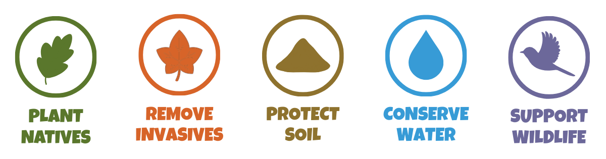 The image promotes five environmental actions: plant native species, remove invasive plants, protect soil, conserve water, and support wildlife.