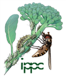May contain: animal, bee, insect, invertebrate, wasp, honey bee, reptile, and snake