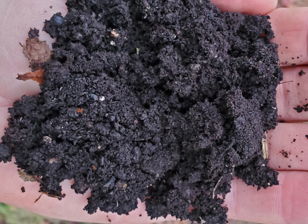 May contain: soil and tar