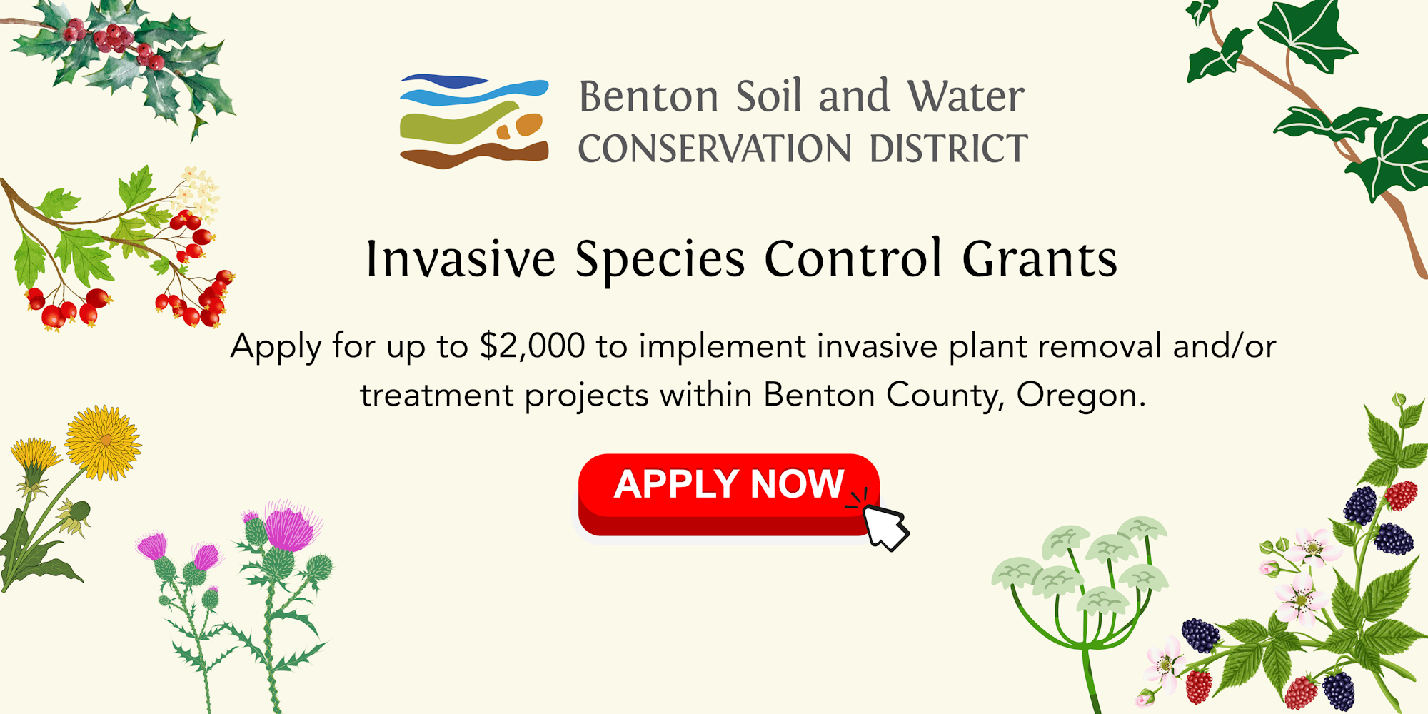 Invasive Species Control Grants ad; apply for up to $2,000 in Benton County, Oregon.