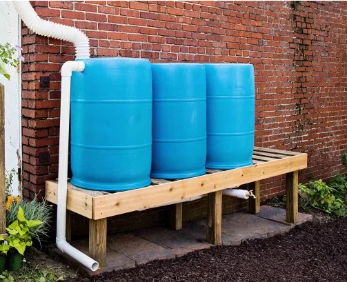 Three blue rain barrels on a wooden stand, connected to a gutter downspout against a brick wall.