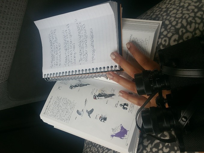 image shows handwritten notes in a notebook