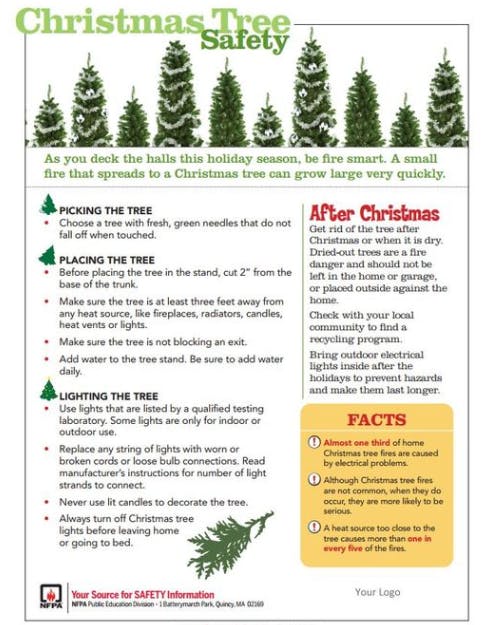 May contain: plant, tree, pine, fir, advertisement, conifer, poster, page, text, and vegetation