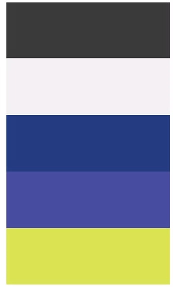 Five vertical color blocks: lime green, dark purple, dark blue, light pink, and dark gray.