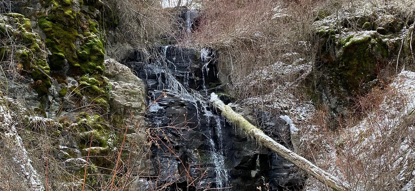 Photo of Scott Creek Waterfall