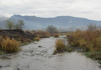 Photo of Cottonwood Creek