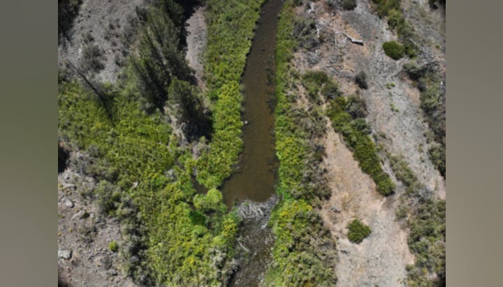 Aerial view of a winding creek surrounded by lush green vegetation and sparse dry land. Nature scene with trees and water.